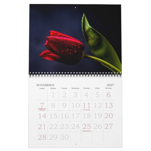 Calendário Elegantes Flores Florais de Tulipa e Rosa Fotograf (Nov 2027)
