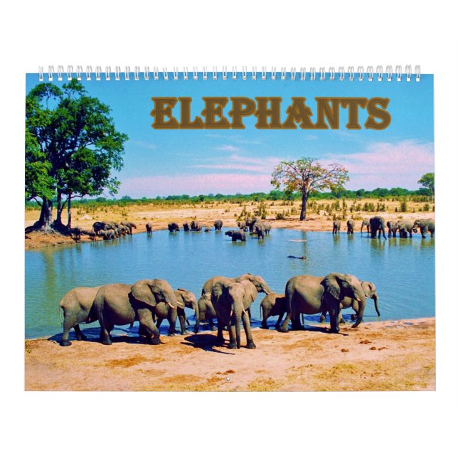 Calendário elephants  (Capa)