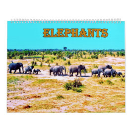 Calendário elephants