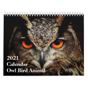 Calendário Engraçado: Animal de aves