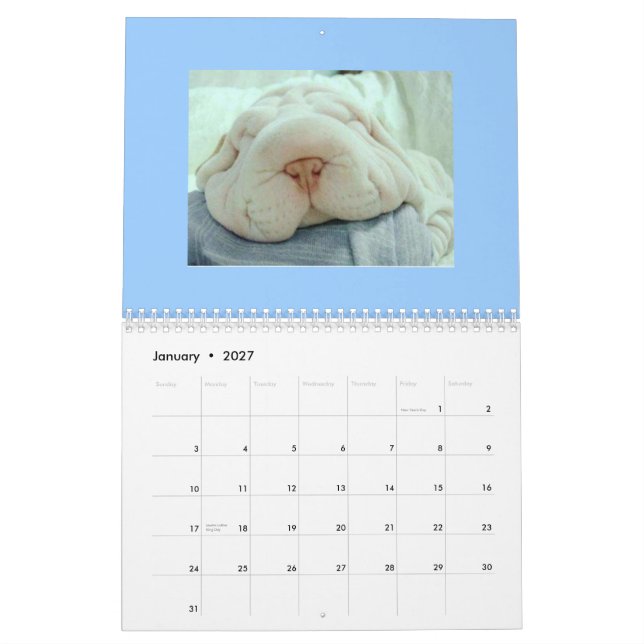Calendário engraçado das caras (Jan 2027)