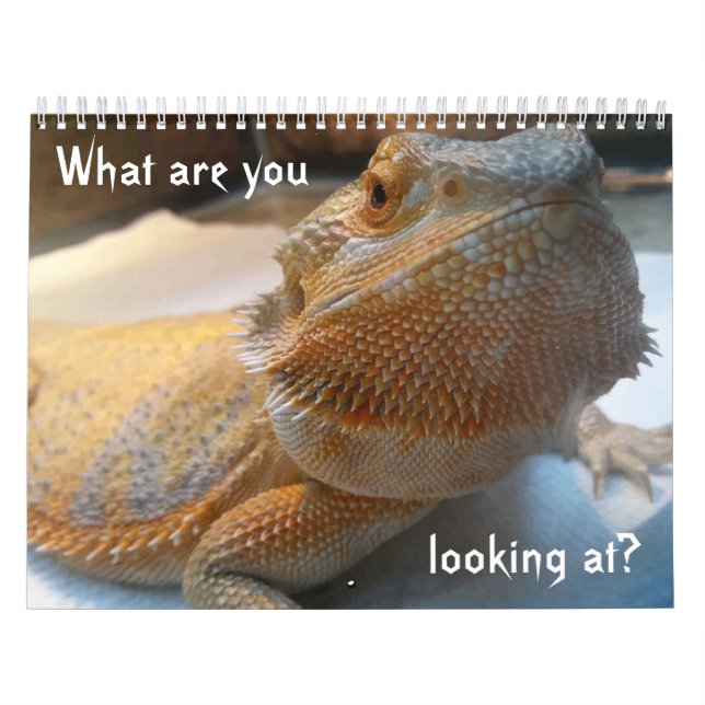 Calendário ENGRAÇADO impressionante para 2019 (Capa)