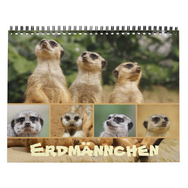 Calendário Erdmännchen 002 (Capa)