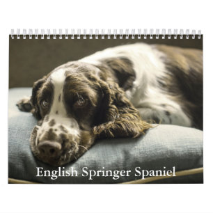 Calendário espanhol do Springer em Inglês