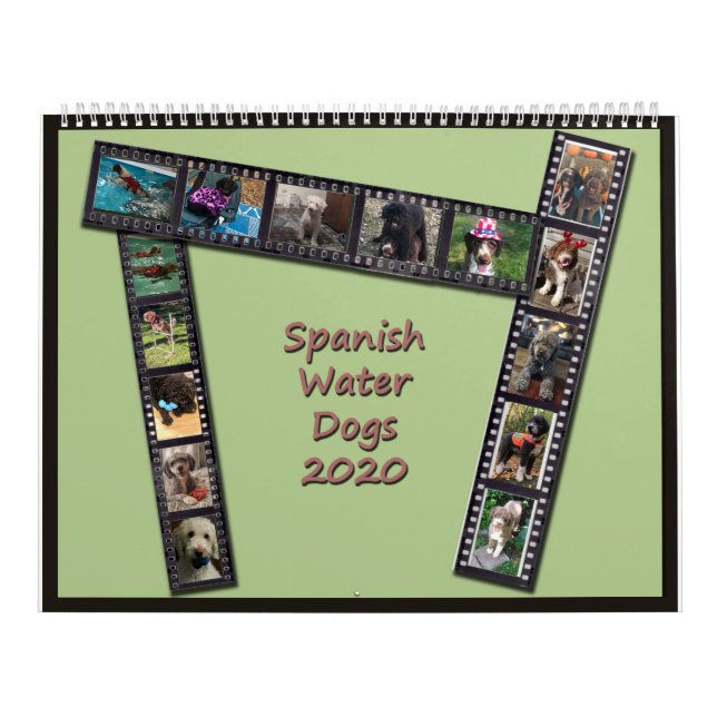 Calendário Espanhol dos Cães de Água 2020 (Capa)