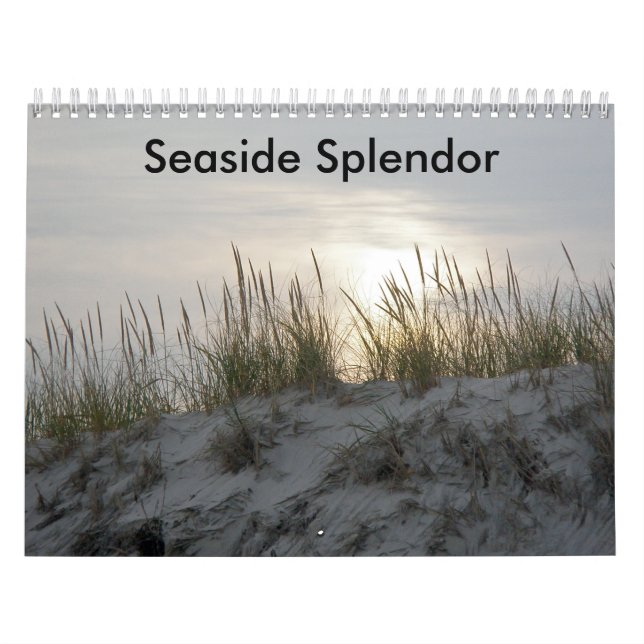 Calendário Esplendor à beira-mar (Capa)