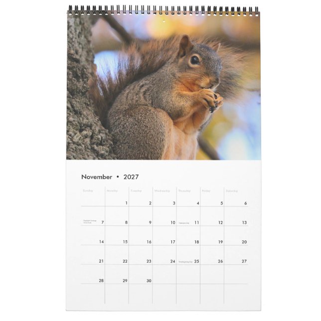 Calendário Esquilo (Nov 2027)