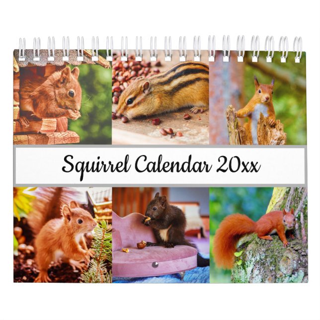 Calendário Esquilo (Capa)