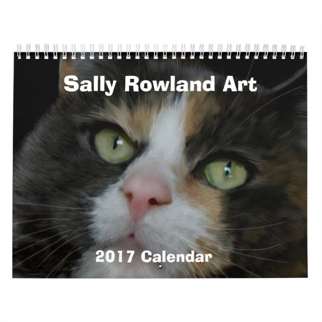 Calendário Está chovendo gatos e cães! (Capa)