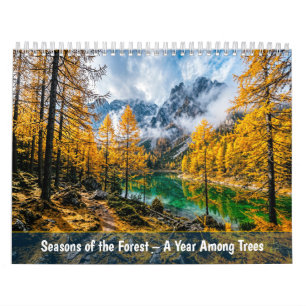 Calendário Estações da Floresta - Um Ano Entre as Árvores