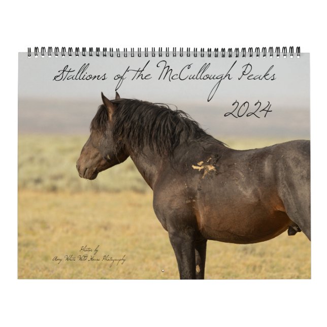 Calendário Estalhões dos Picos McCullough (Capa)