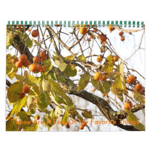 Calendário Estas São Algumas Das Minhas Coisas Favoritas No