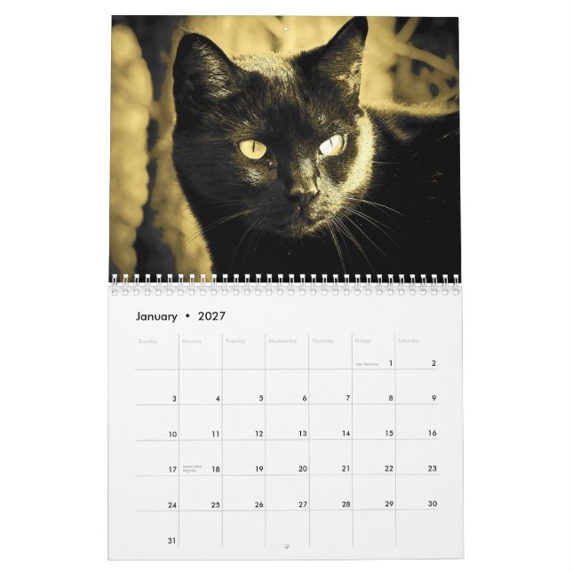 Calendário Estilo do gato do DJ em preto e branco (Jan 2027)
