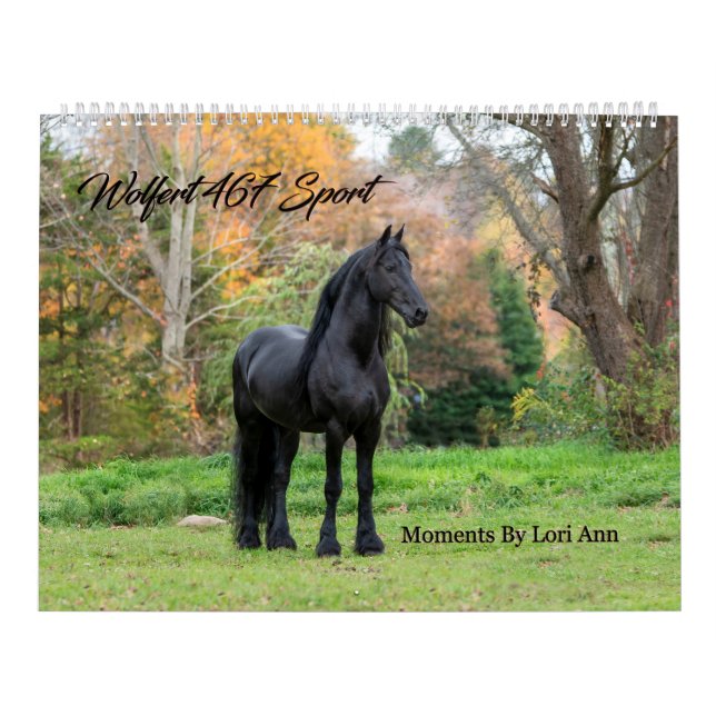 Calendário Estilo Frísia Stallion Wolfert 467 (Capa)