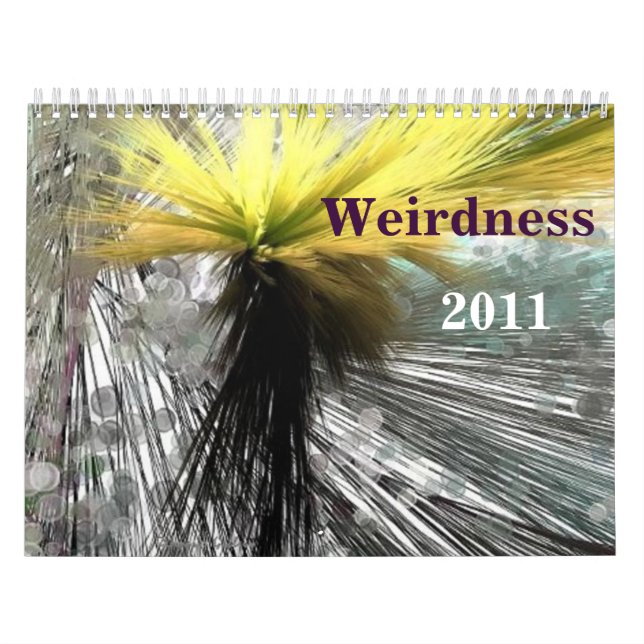 Calendário Estranheza 2011 (Capa)