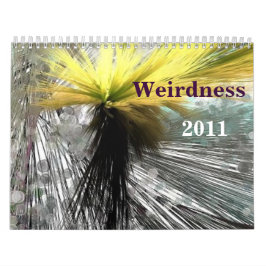 Calendário Estranheza 2011