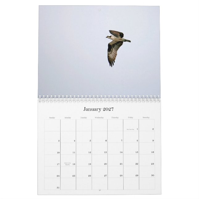 Calendário Estudo do Seahawk (Jan 2027)