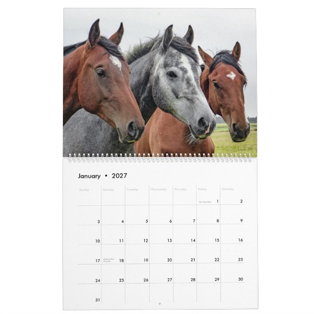 Calendário Etsy_Calender (cavalo) (Jan 2027)
