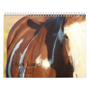 Calendário Eu amo os cavalos 2012