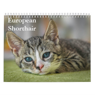 Calendário Europeu do Ar Curto