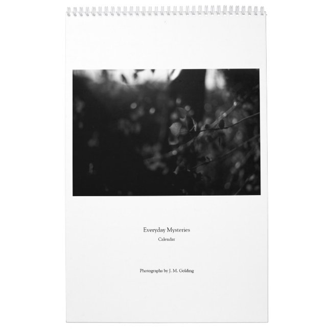 Calendário Everyday Mysteries Calendar (Capa)