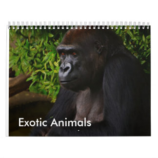 Calendário exótico dos animais