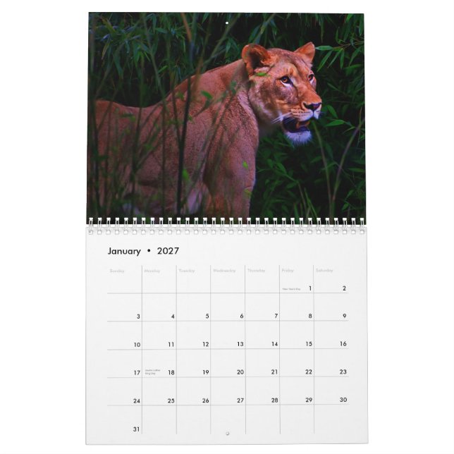 Calendário exótico dos animais (Jan 2027)