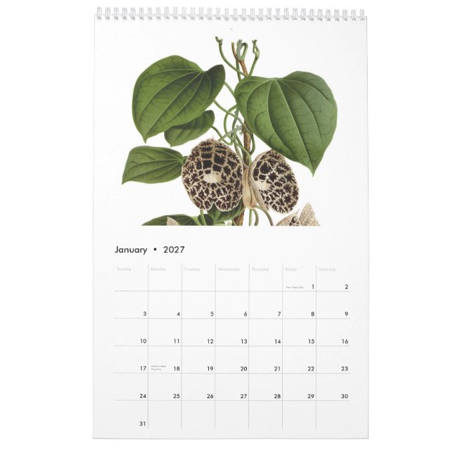 Calendário Exotics 2015 (Jan 2027)