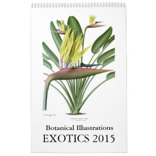 Calendário Exotics 2015