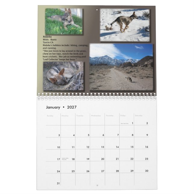 Calendário EXPIRADO de 2013 AUXÍLIOS (Jan 2027)