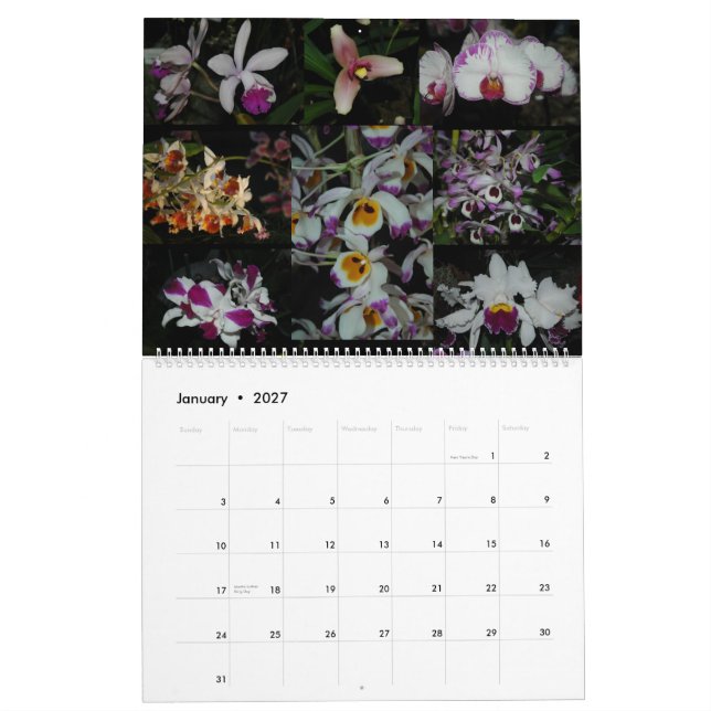 Calendário Expo pacífica da orquídea (Jan 2027)