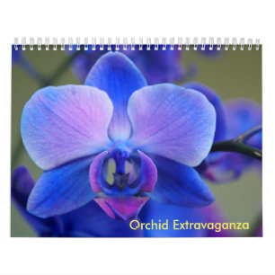 Calendário Extravagância da orquídea