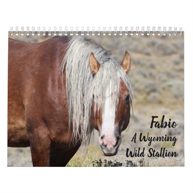 Calendário Fabio A Wild Wyoming Stallion (Capa)