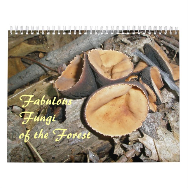 Calendário - Fabulosos Fungos Da Floresta (Capa)