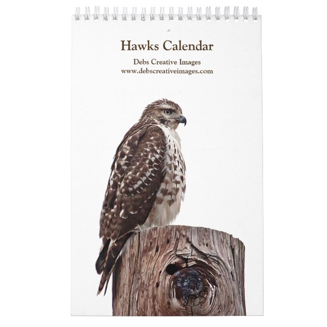 Calendário Falcões de Cauda Vermelha 2026 (Capa)