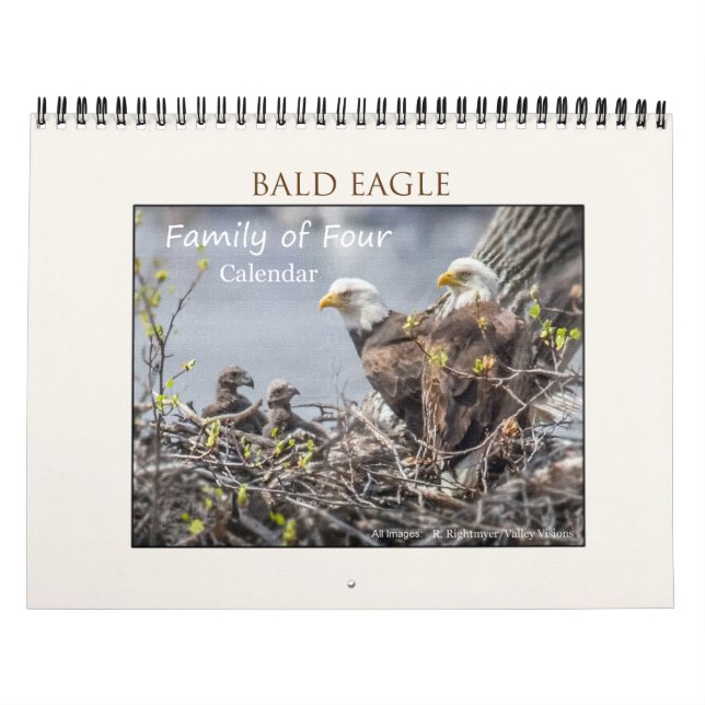 Calendário Família Bald Eagle de Quatro (Capa)