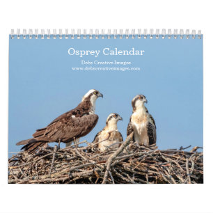 Calendário Família Osprey 2025