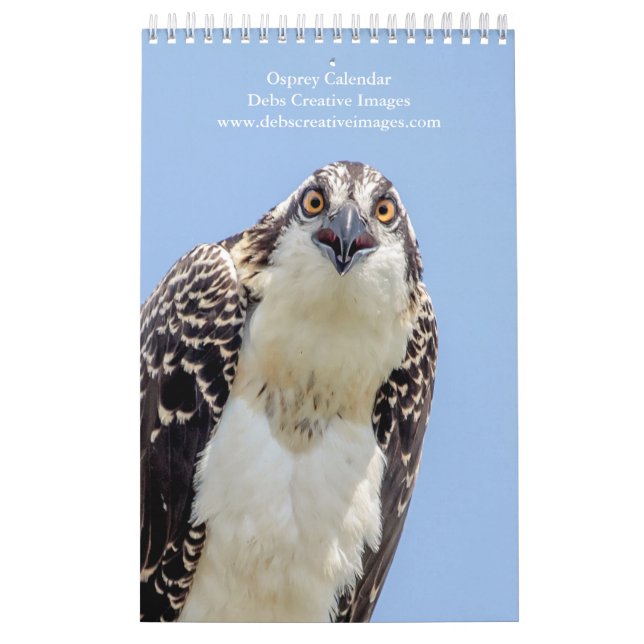 Calendário Família Osprey 2026 (Capa)