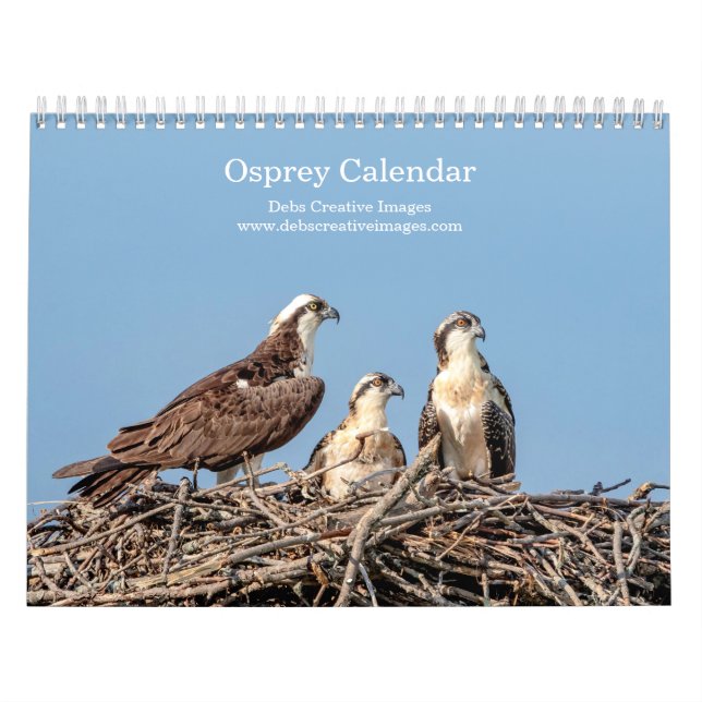 Calendário Família Osprey 2026 (Capa)