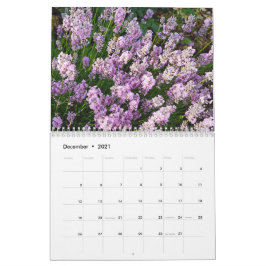 Calendário Farbzauber Lavendel