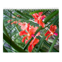 Calendário Farbzauber Orchideen