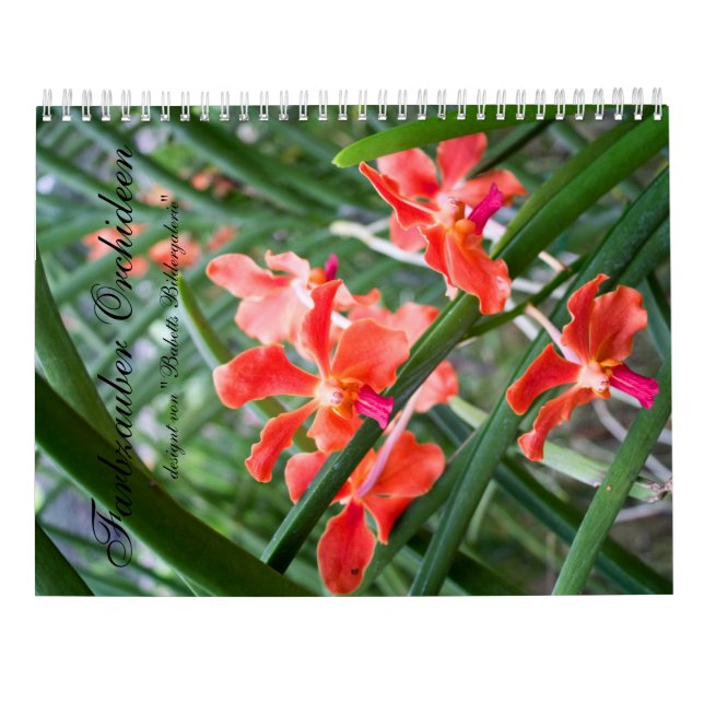 Calendário Farbzauber Orchideen (Verso)