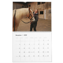 Calendário Fascination Haflinger
