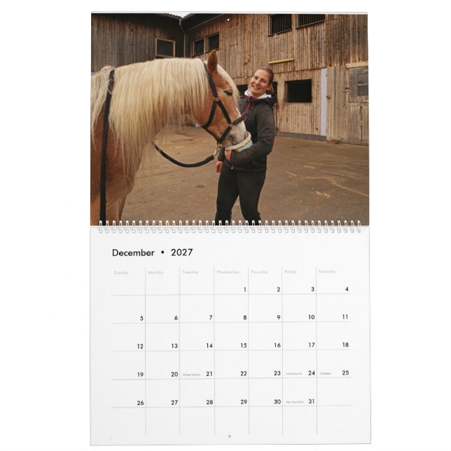Calendário Fascination Haflinger (Dez 2027)