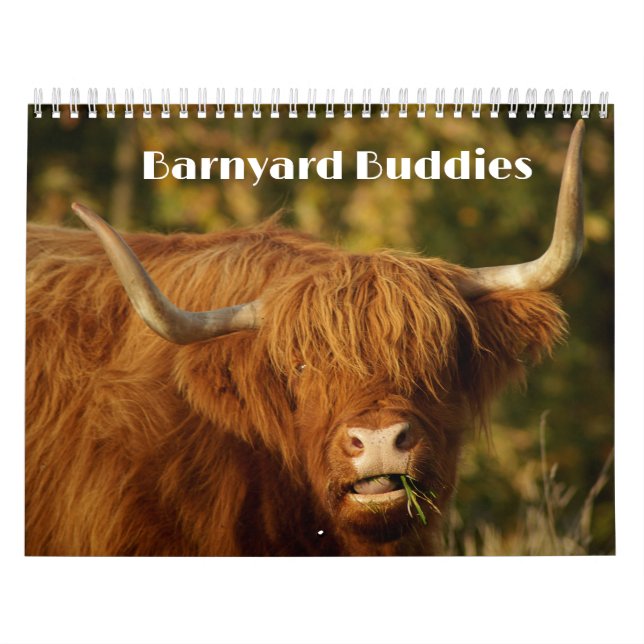 Calendário Fazenda Barnyard Buddies (Capa)