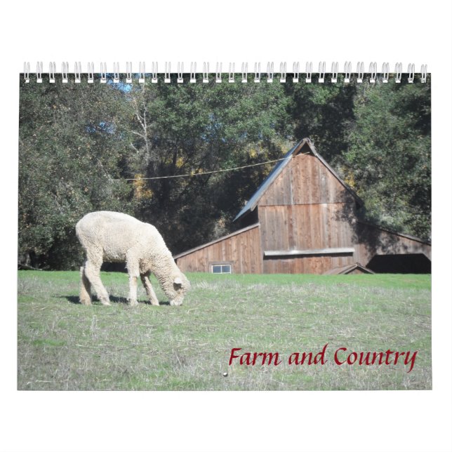 Calendário Fazenda e País (Capa)