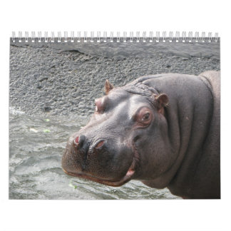 Calendário Feche levanta das caras 2014 do animal selvagem