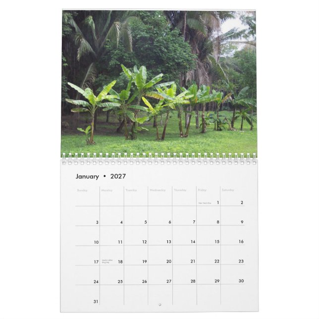 Calendário feito sob encomenda que caracteriza (Jan 2027)