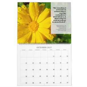 Calendário Feldy 2027: um ano em flor