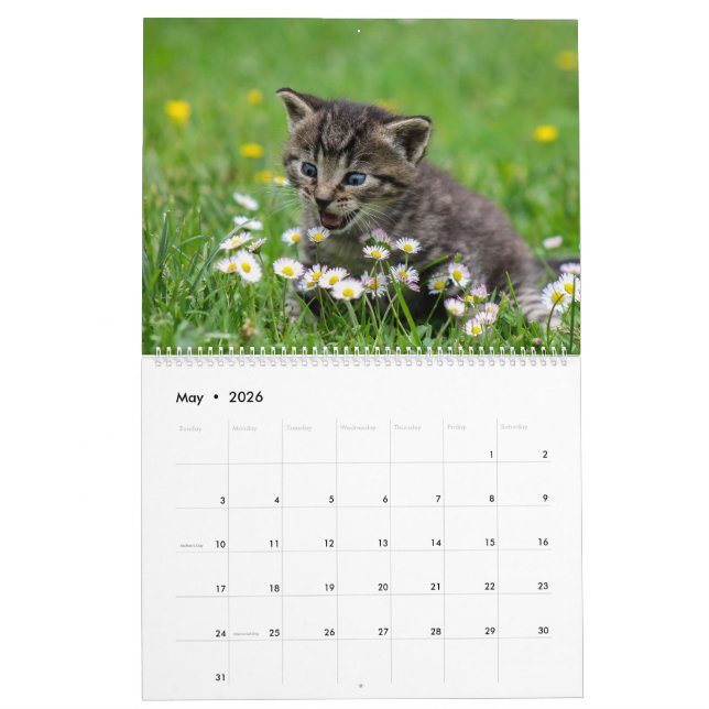 Calendário Felino de Gatinhos Gatinhos Fofinhos Felinos 2020 (Maio 2026)